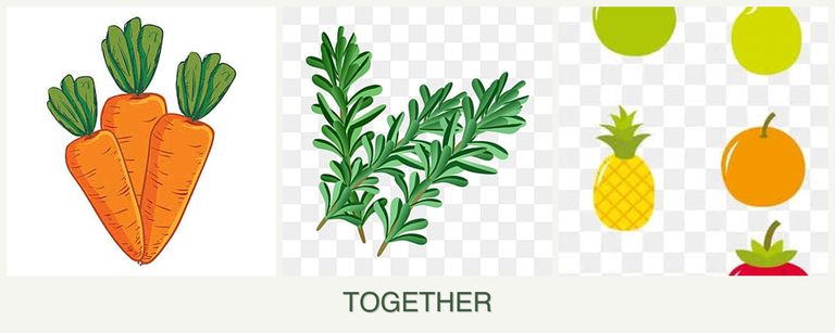 Can you plant carrots, rosemary and pears together?