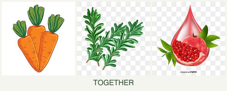 Can you plant carrots, rosemary and pomegranates together?