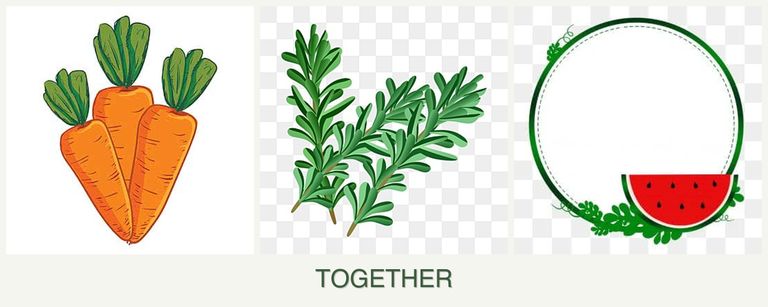 Can you plant carrots, rosemary and watermelons together?