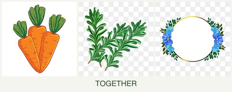 Can you plant carrots, rosemary and zinnias together?