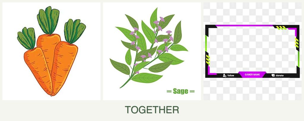 Can you plant carrots, sage and limes together?