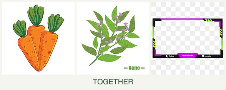 Can you plant carrots, sage and limes together?