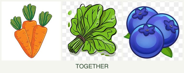 Can you plant carrots, spinach and blueberries together?
