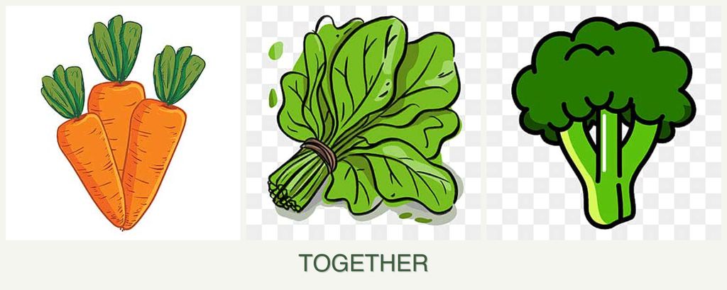 Can you plant carrots, spinach and broccoli together?