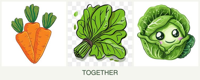 Can you plant carrots, spinach and cabbage together?