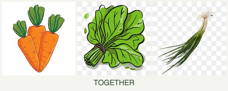 Can you plant carrots, spinach and chives together?