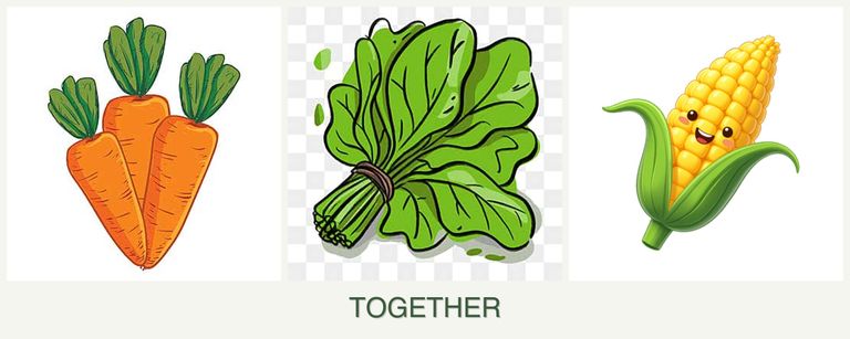 Can you plant carrots, spinach and corn together?