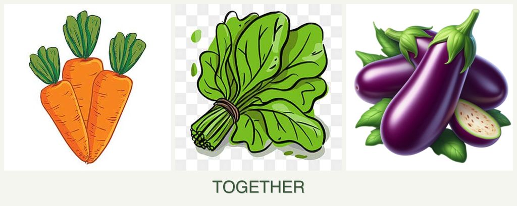 Can you plant carrots, spinach and eggplant together?