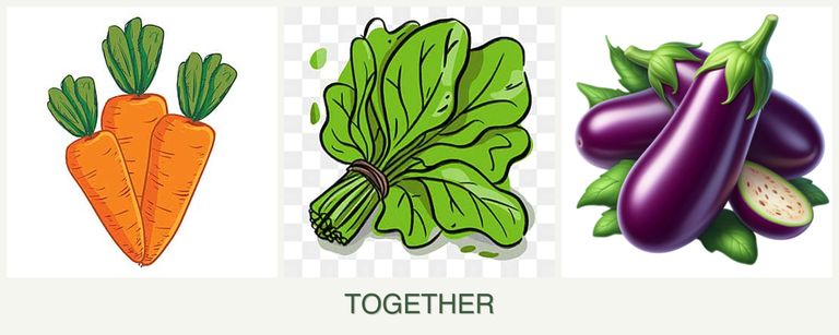 Can you plant carrots, spinach and eggplant together?