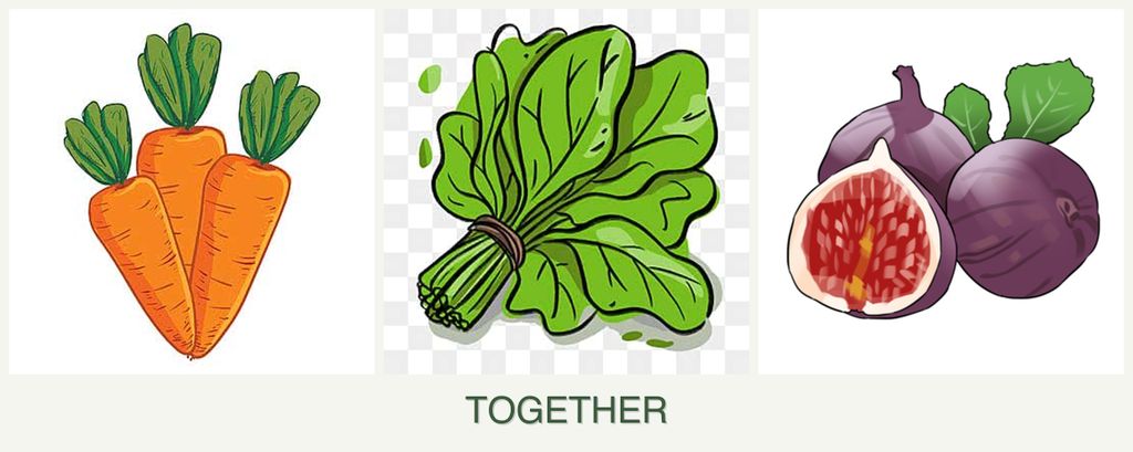 Can you plant carrots, spinach and figs together?