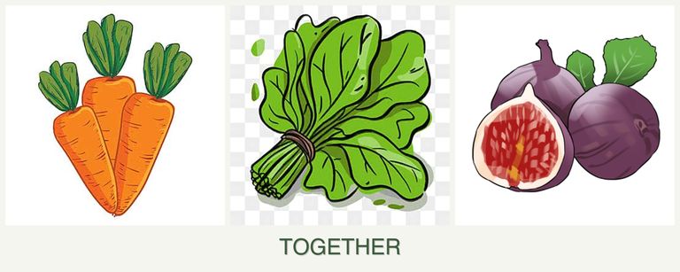 Can you plant carrots, spinach and figs together?