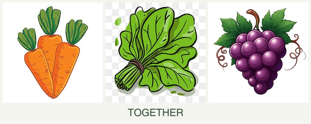 Can you plant carrots, spinach and grapes together?