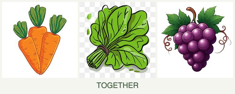 Can you plant carrots, spinach and grapes together?