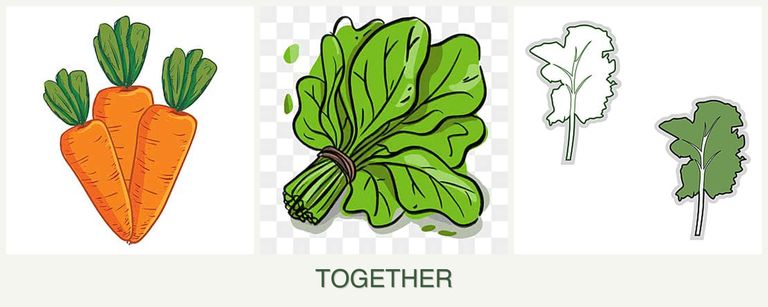 Can you plant carrots, spinach and kale together?