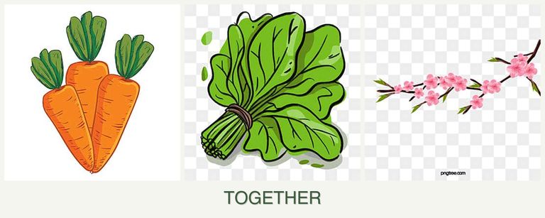 Can you plant carrots, spinach and peaches together?