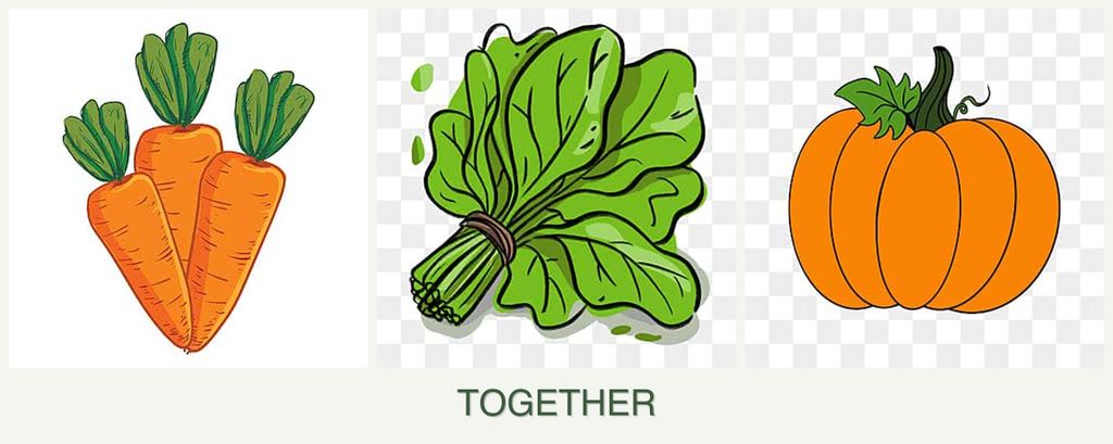 Can you plant carrots, spinach and pumpkin together?