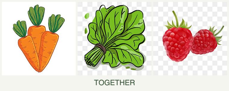 Can you plant carrots, spinach and raspberries together?