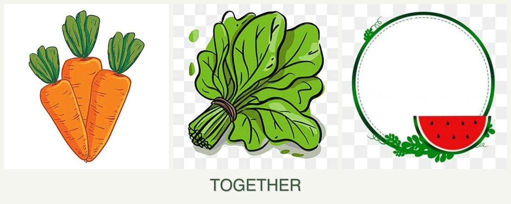 Can you plant carrots, spinach and watermelons together?