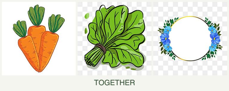 Can you plant carrots, spinach and zinnias together?