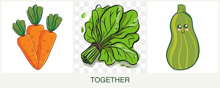 Can you plant carrots, spinach and zucchini together?