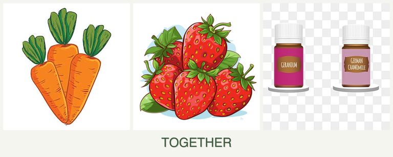 Can you plant carrots, strawberries and geraniums together?