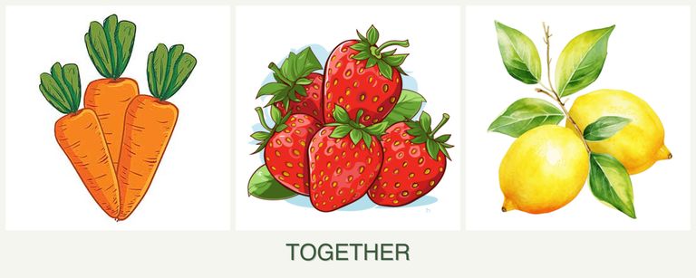 Can you plant carrots, strawberries and lemons together?