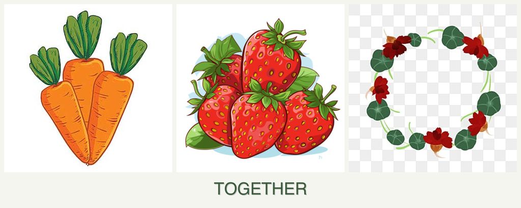 Can you plant carrots, strawberries and nasturtiums together?