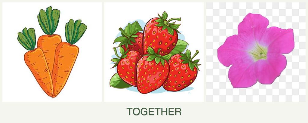 Can you plant carrots, strawberries and petunias together?