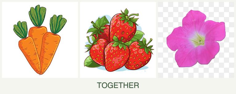 Can you plant carrots, strawberries and petunias together?