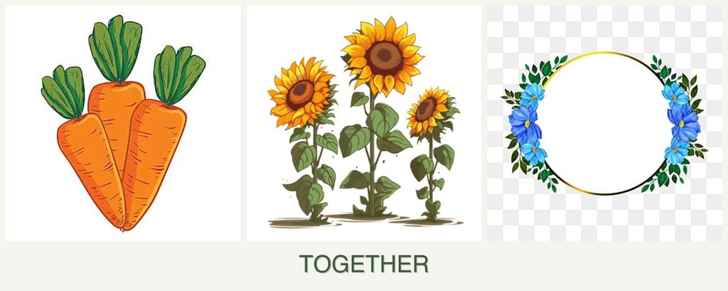 Can you plant carrots, sunflowers and zinnias together?
