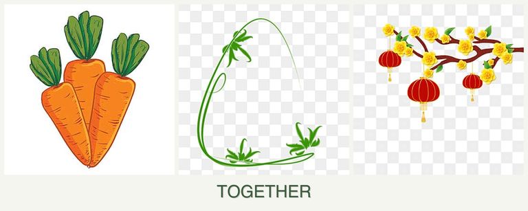 Can you plant carrots, tarragon and apricots together?