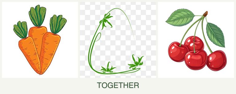 Can you plant carrots, tarragon and cherries together?