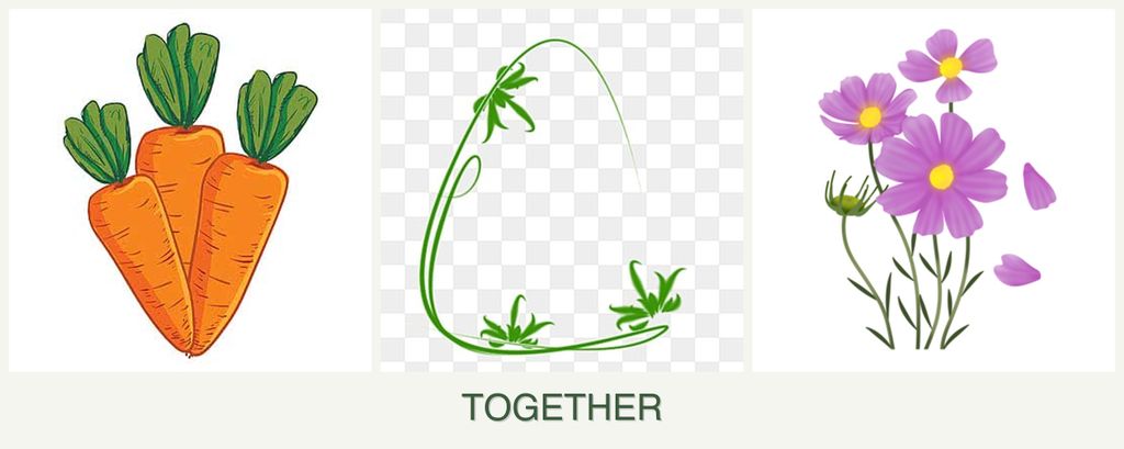 Can you plant carrots, tarragon and cosmos together?