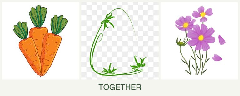 Can you plant carrots, tarragon and cosmos together?