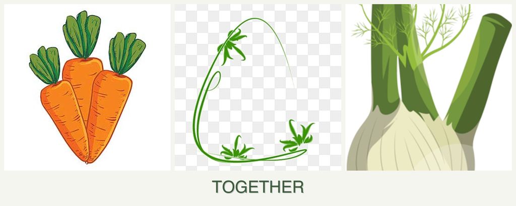 Can you plant carrots, tarragon and fennel together?