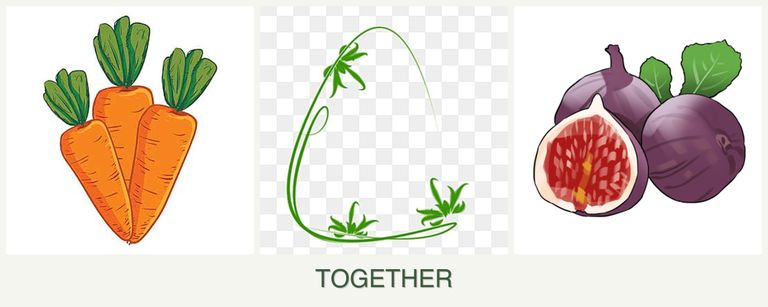 Can you plant carrots, tarragon and figs together?