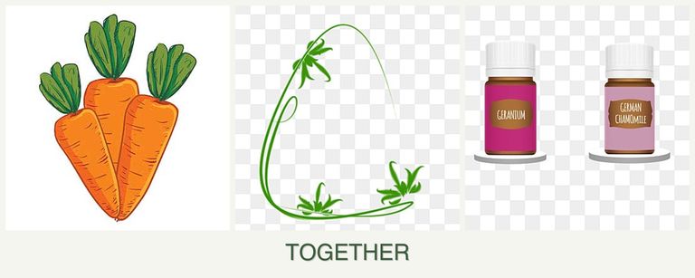 Can you plant carrots, tarragon and geraniums together?