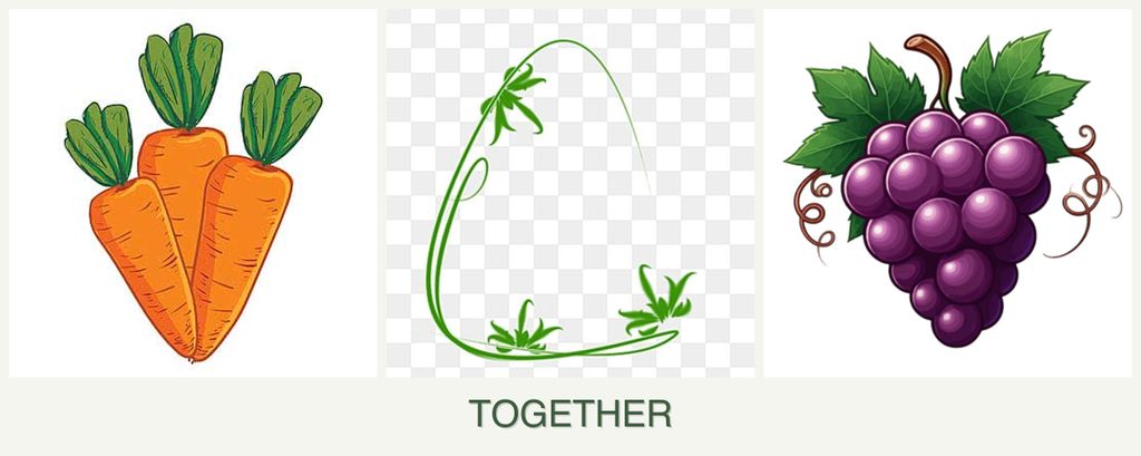 Can you plant carrots, tarragon and grapes together?