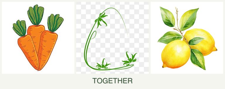 Can you plant carrots, tarragon and lemons together?