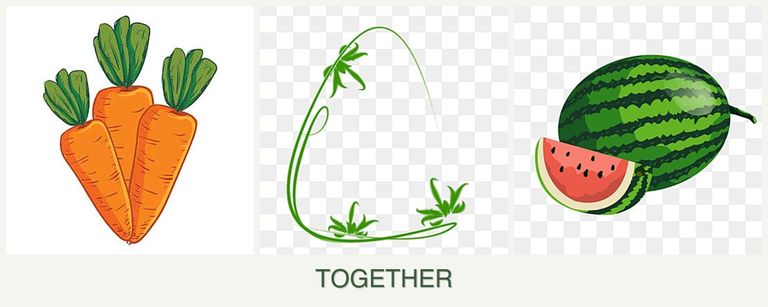 Can you plant carrots, tarragon and melons together?