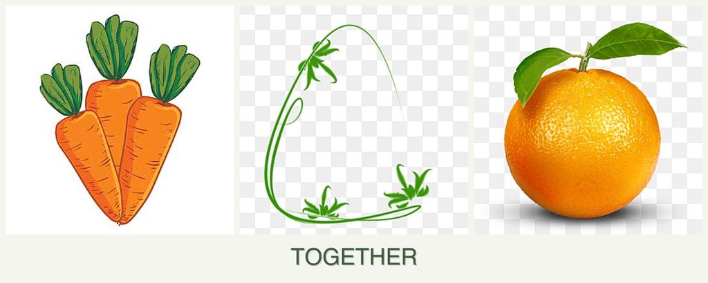 Can you plant carrots, tarragon and oranges together?