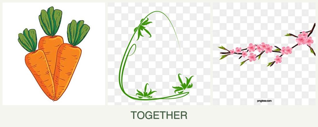 Can you plant carrots, tarragon and peaches together?