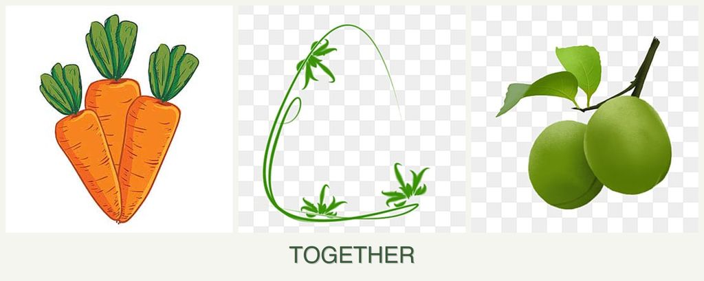 Can you plant carrots, tarragon and plums together?