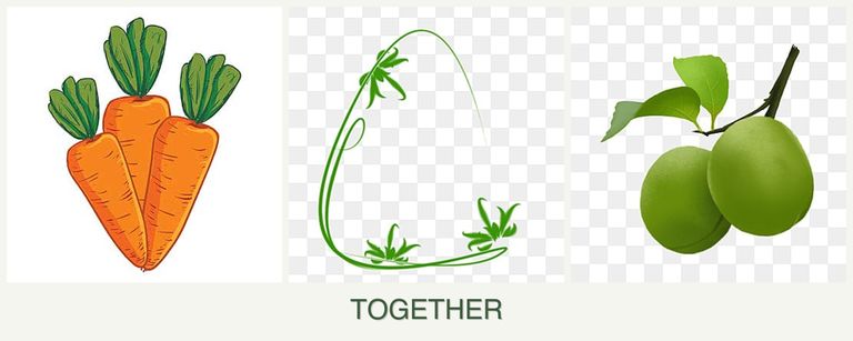 Can you plant carrots, tarragon and plums together?
