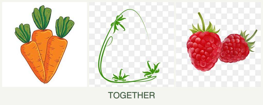 Can you plant carrots, tarragon and raspberries together?