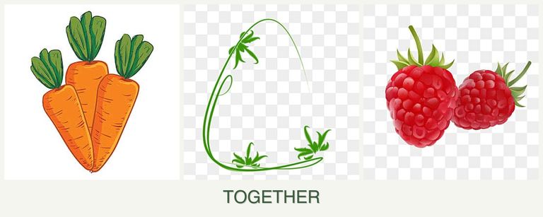 Can you plant carrots, tarragon and raspberries together?