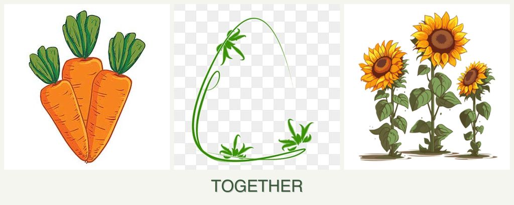 Can you plant carrots, tarragon and sunflowers together?