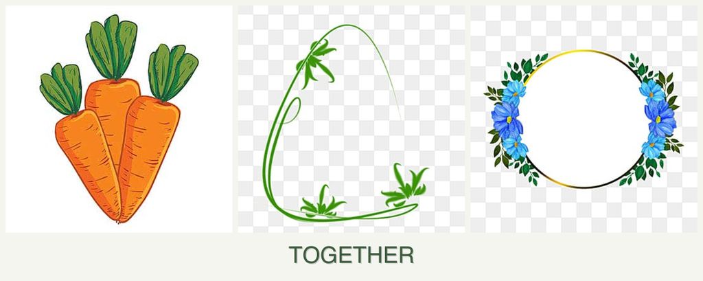 Can you plant carrots, tarragon and zinnias together?