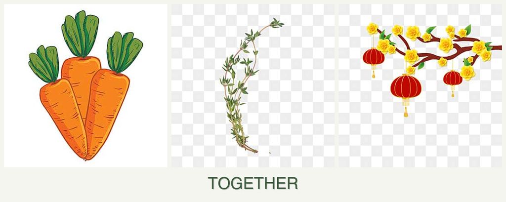 Can you plant carrots, thyme and apricots together?