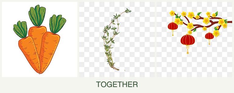 Can you plant carrots, thyme and apricots together?